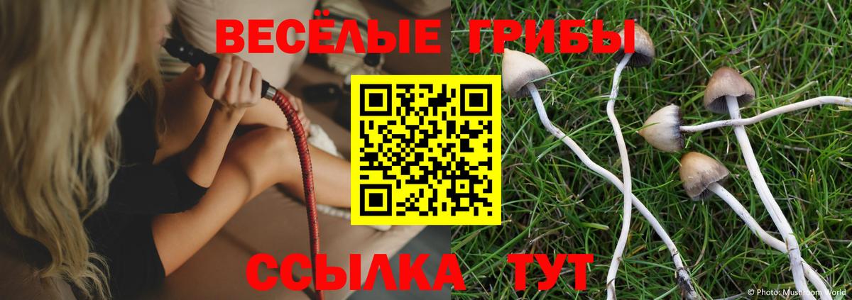 Северобайкальск  Галлюциногенные грибы мицелий  Вход с VPN 